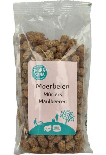 Terrasana RAW Moerbei bessen wit bio (175 Gram)