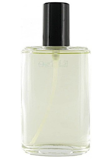 Van Gils Strictly For Men - 100 ml - Navulbaar - Eau de Toilette