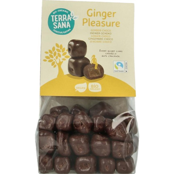 Terrasana Ginger pleasure choco bio (150 Gram)