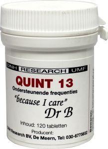 DNH Quint 13 (120 Tabletten)