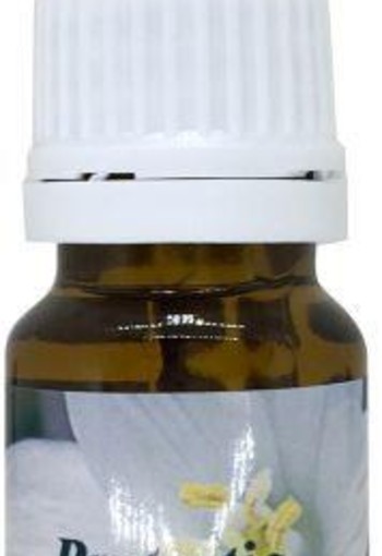 Star Remedies Protectie (10 Milliliter)