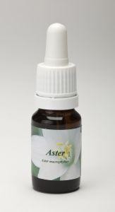 Star Remedies Aster (10 Milliliter)