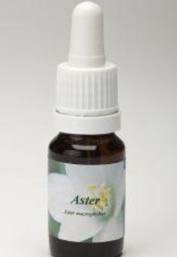 Star Remedies Aster (10 Milliliter)