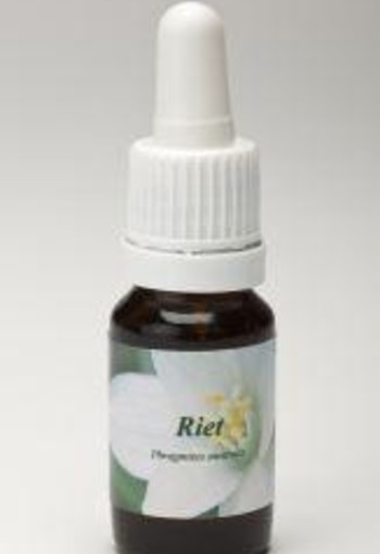 Star Remedies Riet (10 Milliliter)