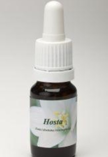 Star Remedies Hosta (10 Milliliter)