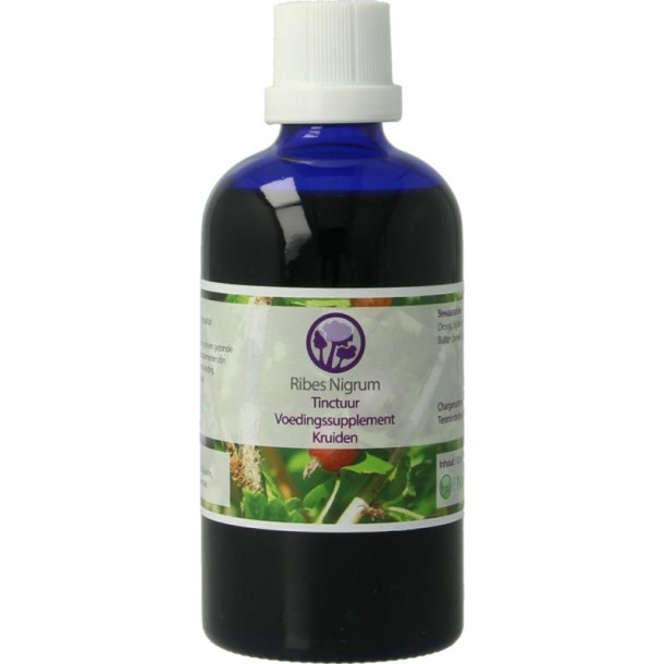 Nagel Ribes nigrum tinctuur (100 Milliliter)