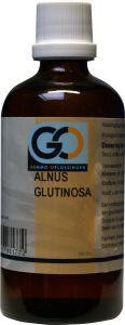 GO Alnus glutinosa (100 Milliliter)