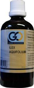 GO Ilex aquafolium (100 Milliliter)