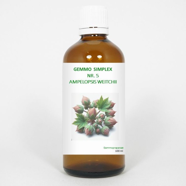 Balancepharma Gemmo simplex 5 ampelopsis weitchii (100 Milliliter)