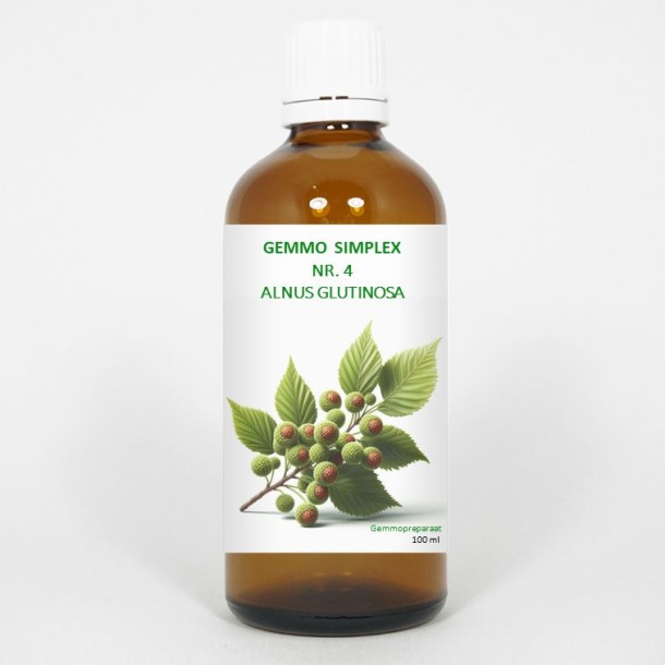 Balancepharma Gemmo simplex 4 alnus glutinosa (100 Milliliter)