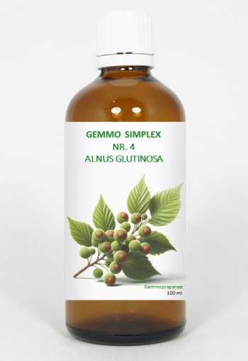 Balancepharma Gemmo simplex 4 alnus glutinosa (100 Milliliter)