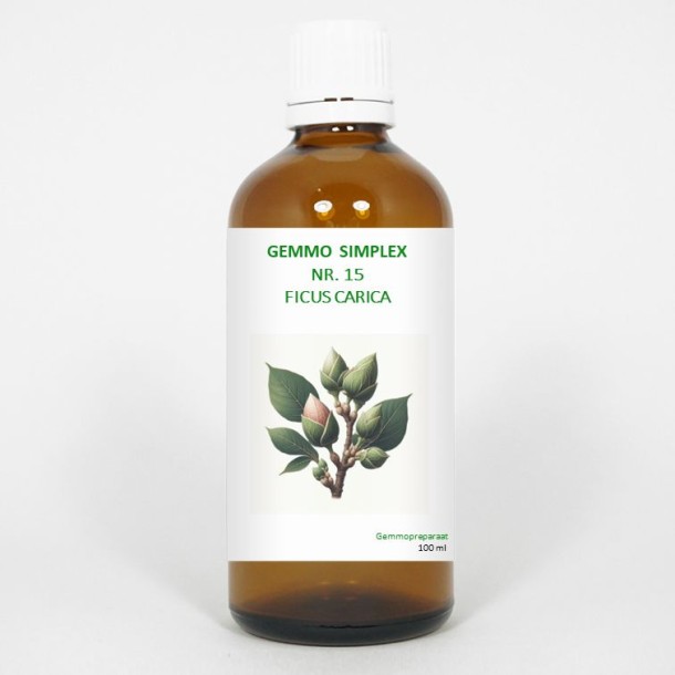 Balancepharma Gemmo simplex 15 ficus carica (100 Milliliter)