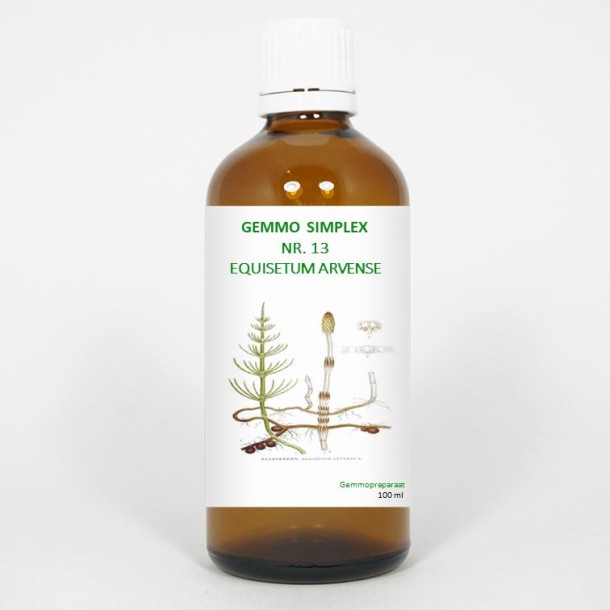 Balancepharma Gemmo simplex 13 equisetum arvense (100 Milliliter)