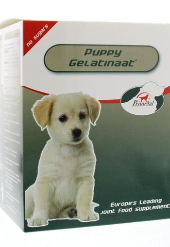 Primeval Gelatinaat puppy (350 Gram)