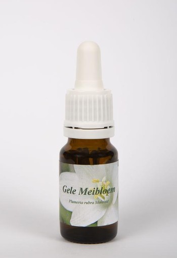 Star Remedies Gele meibloem (10 Milliliter)