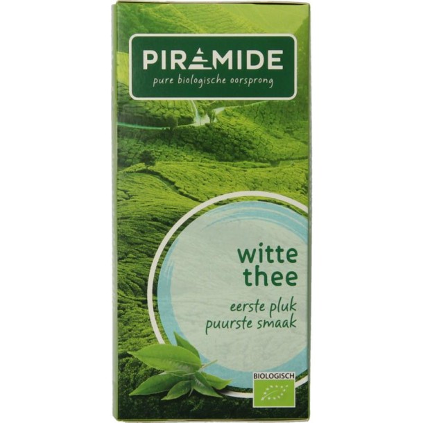 Piramide Witte thee original eko bio (20 Zakjes)