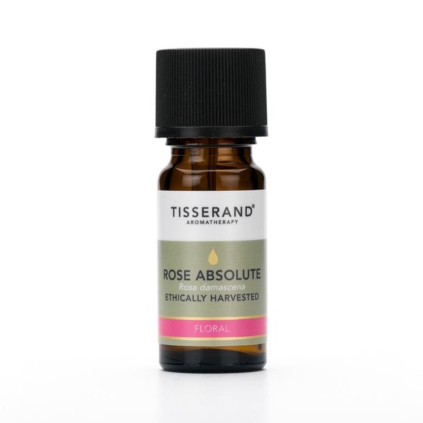 Tisserand Roos absoluut (Rosa damascena) etherische olie (2 Milliliter)