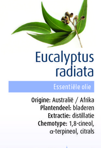 Physalis Eucalyptus radiata bio (10 Milliliter)