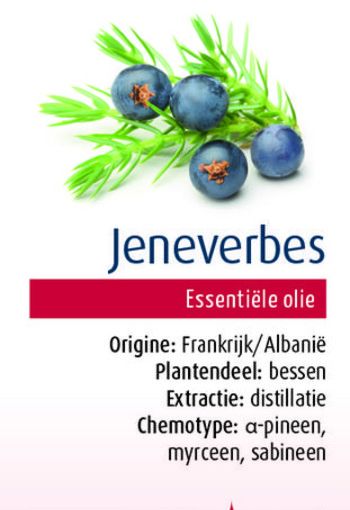 Physalis Jeneverbes bio (10 Milliliter)