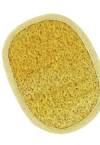 Forsters Massage pad loofah/katoen (1 Stuks)