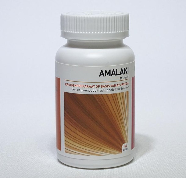 Ayurveda Health Amalaki (120 Tabletten)