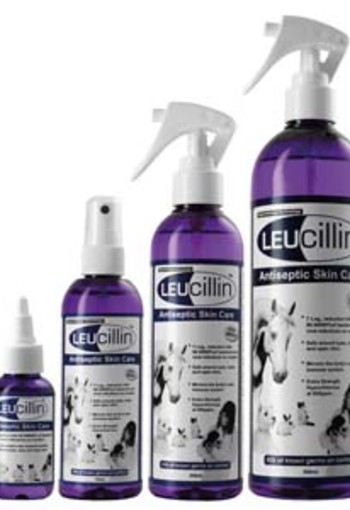 Leucillin Dropper (50 Milliliter)