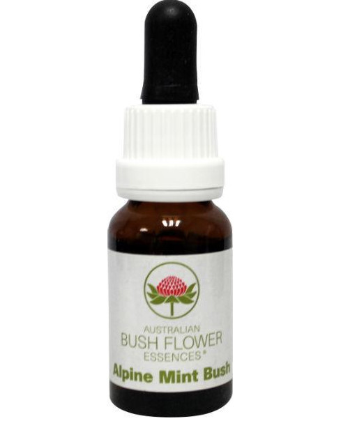 Australian Bush Alpine mint bush (15 Milliliter)