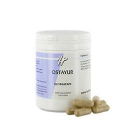Holisan Ostayur (120 Vegetarische capsules)