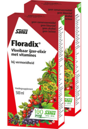 Salus Floradix 2x500ml 