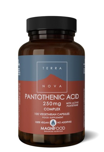 Terranova Pantothenic acid 250 mg complex (100 Vegetarische capsules)