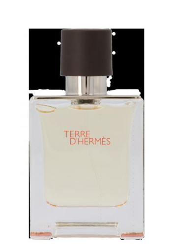Hermes Terre d'hermes eau de toilette spray (50 Milliliter)